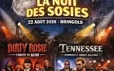 La Nuit des Sosies