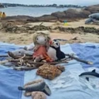 Le Voyage en Mer de Boc'han
