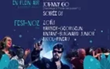 Concerts et fest-noz avec Johnny Go, Zoñj et Pretty Fair Maids