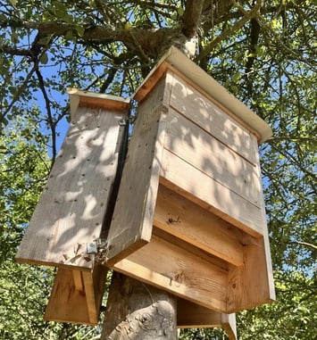 Construisons ensemble des nichoirs à chauve-souris !