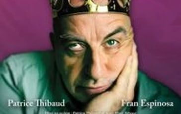 Une Histoire de France de Patrice Thibaud