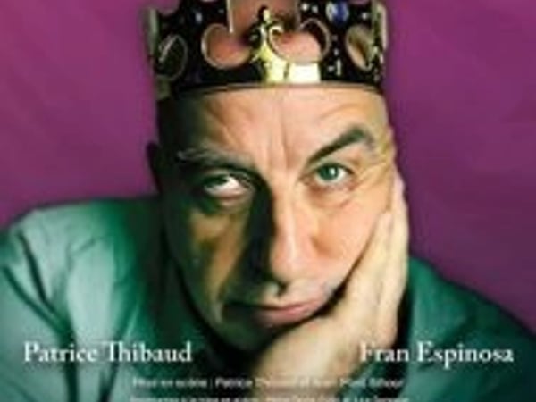 Une Histoire de France de Patrice Thibaud