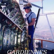 Lumières sur les phares