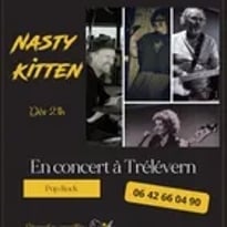 Nasty Kitten, pop rock