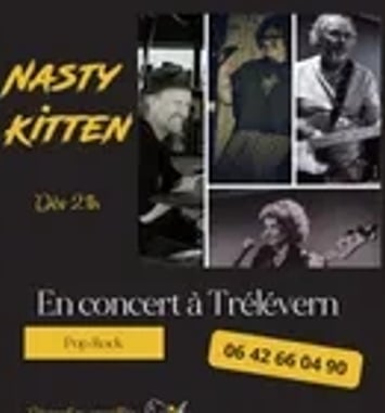 Nasty Kitten, pop rock