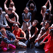 Static Shot, a Folia
