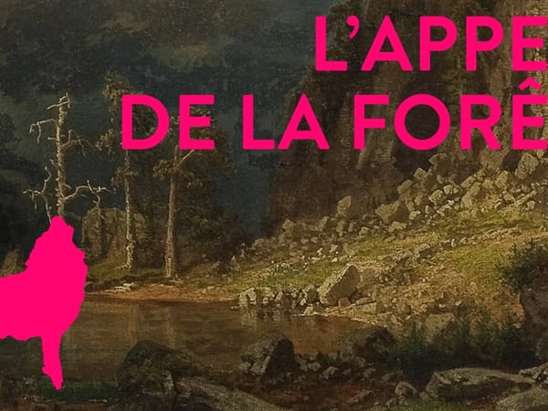L’Appel de la forêt