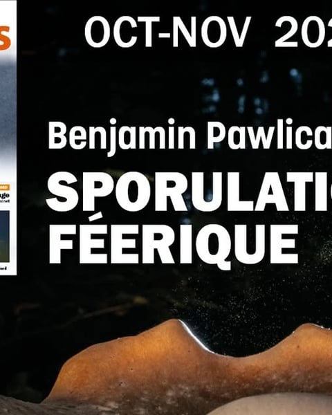 Exposition photo "Sporulation féerique" de Benjamin Pawlica