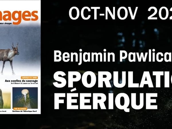 Exposition photo "Sporulation féerique" de Benjamin Pawlica