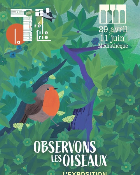 Exposition "Observons les oiseaux"