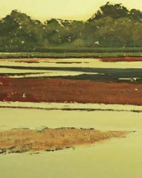 Exposition - Paysages