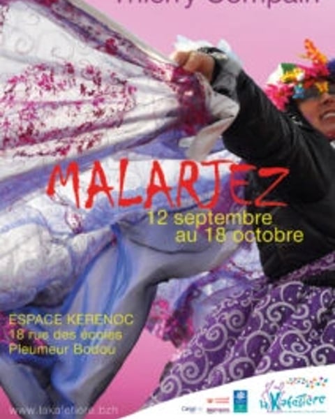 Malarjez - Thierry Compain au carnaval de l'Île Grande - Photographies