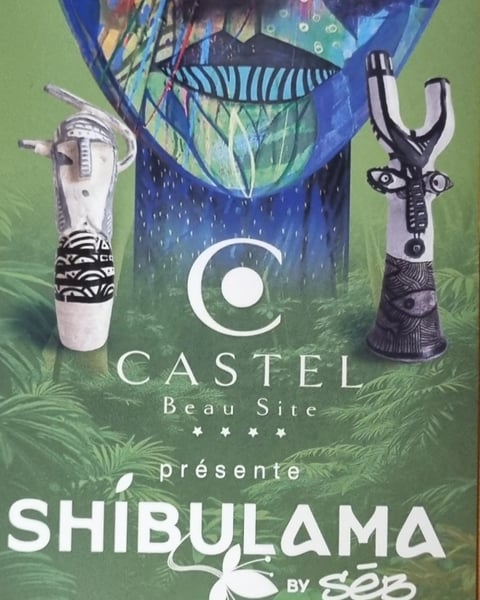 Exposition - Shibulama by Séb - Castel Beau Site