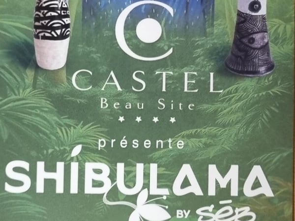 Exposition - Shibulama by Séb - Castel Beau Site
