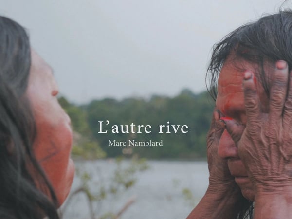 Nuit amazonienne, quand la forêt mumure