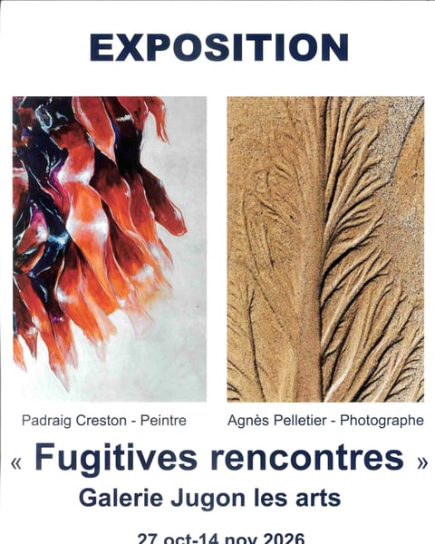 Exposition "Fugitives rencontres"