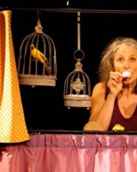 Festival Mini Mômes Maxi Mômes - Cirque et théâtre d'objets