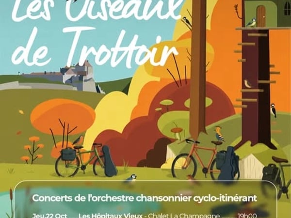 Concert - Les oiseaux de trottoir