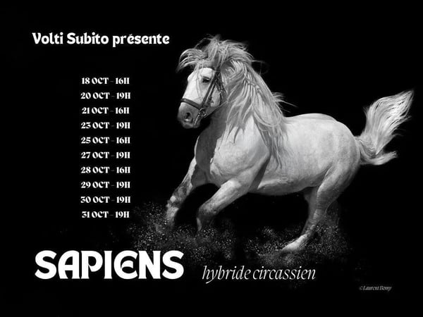 « Sapiens, hybride circassien », par la compagnie Volti subito