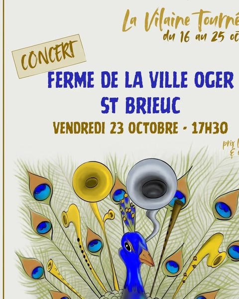 Les oiseaux de trottoir